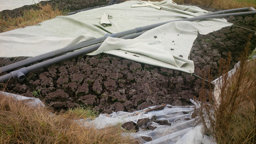 Sludge dewatering and bagging