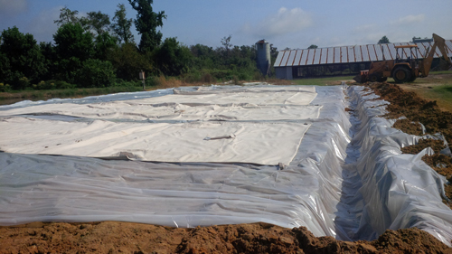 Sludge dewatering and bagging