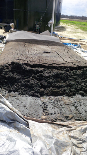 Sludge dewatering and bagging