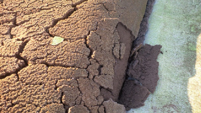Sludge dewatering and bagging