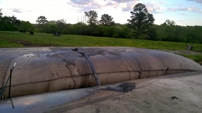 Sludge dewatering and bagging